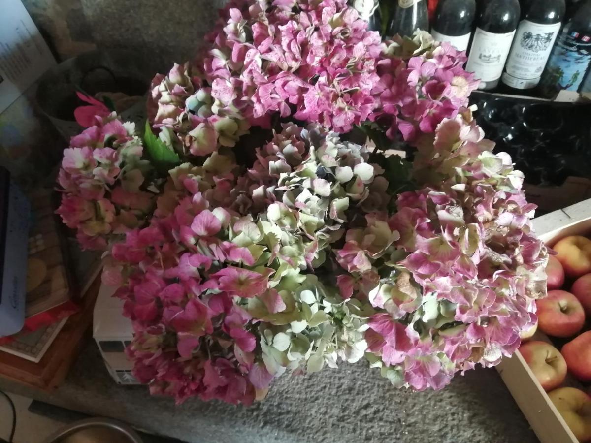 Gite Hydrangea Lanhelin Exterior photo